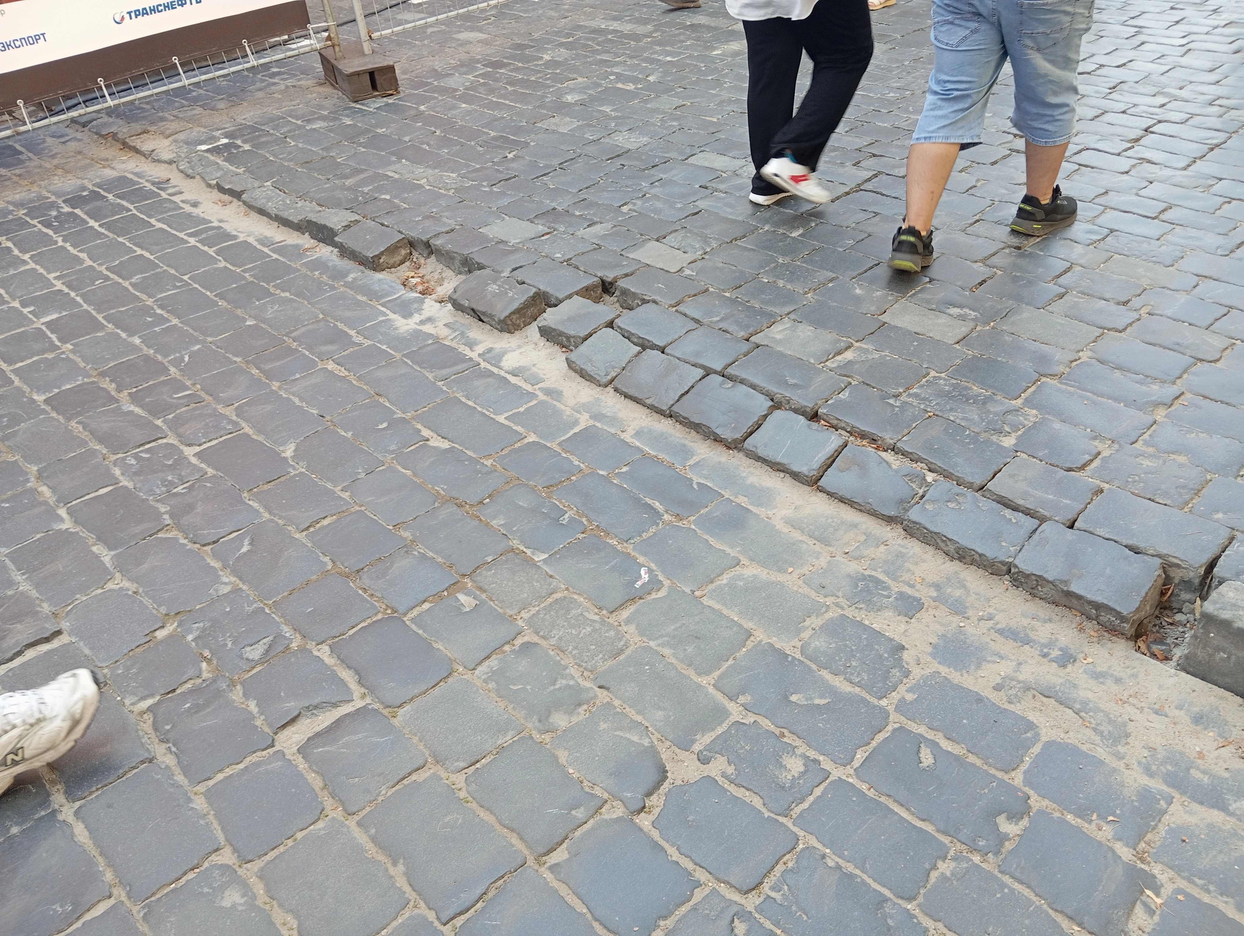 IMG_20240829_142929.webp