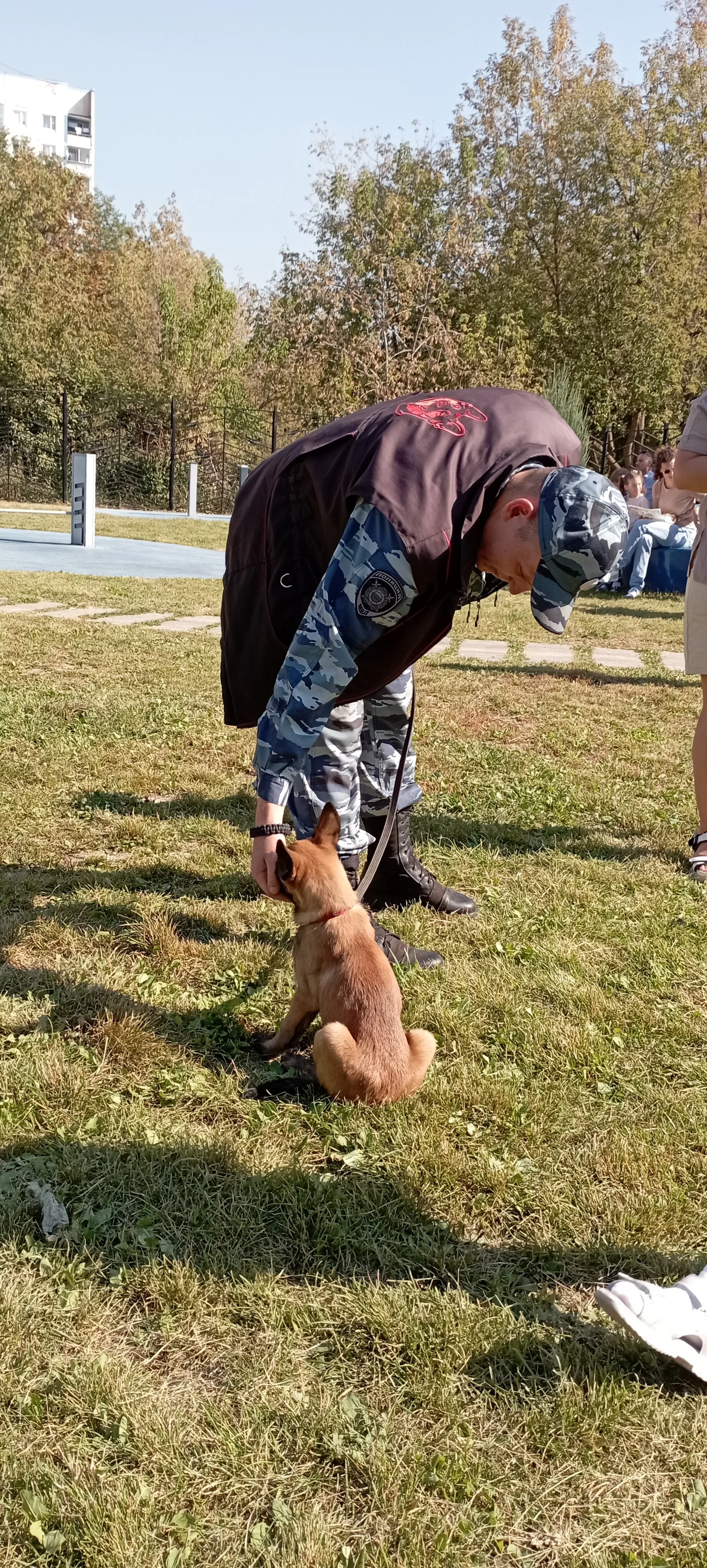 IMG_20240907_124142.webp