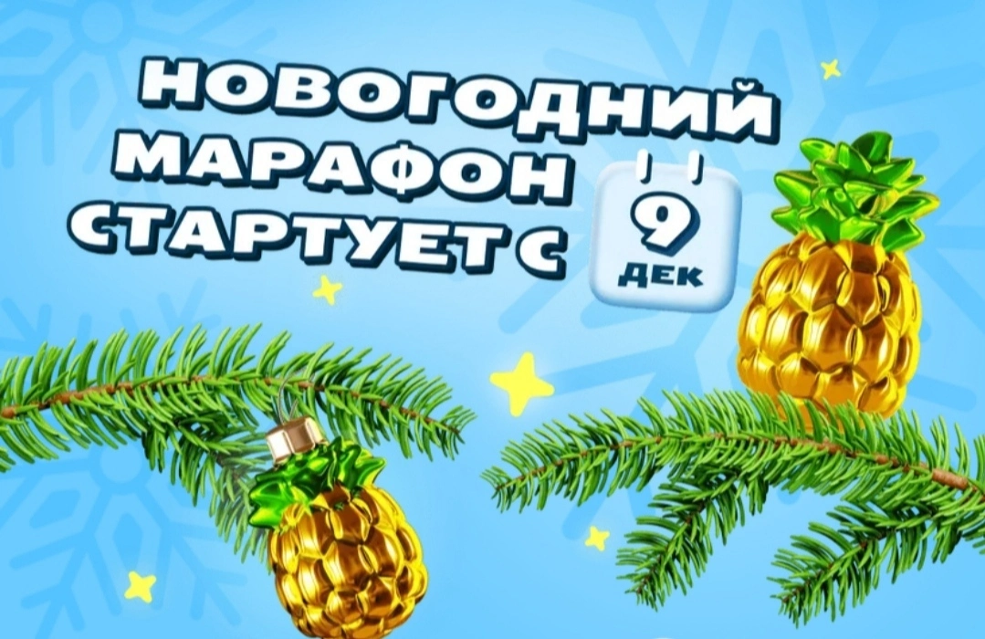 IMG_20241202_001540.webp