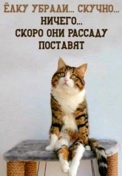 IMG_20250208_133642_099.webp