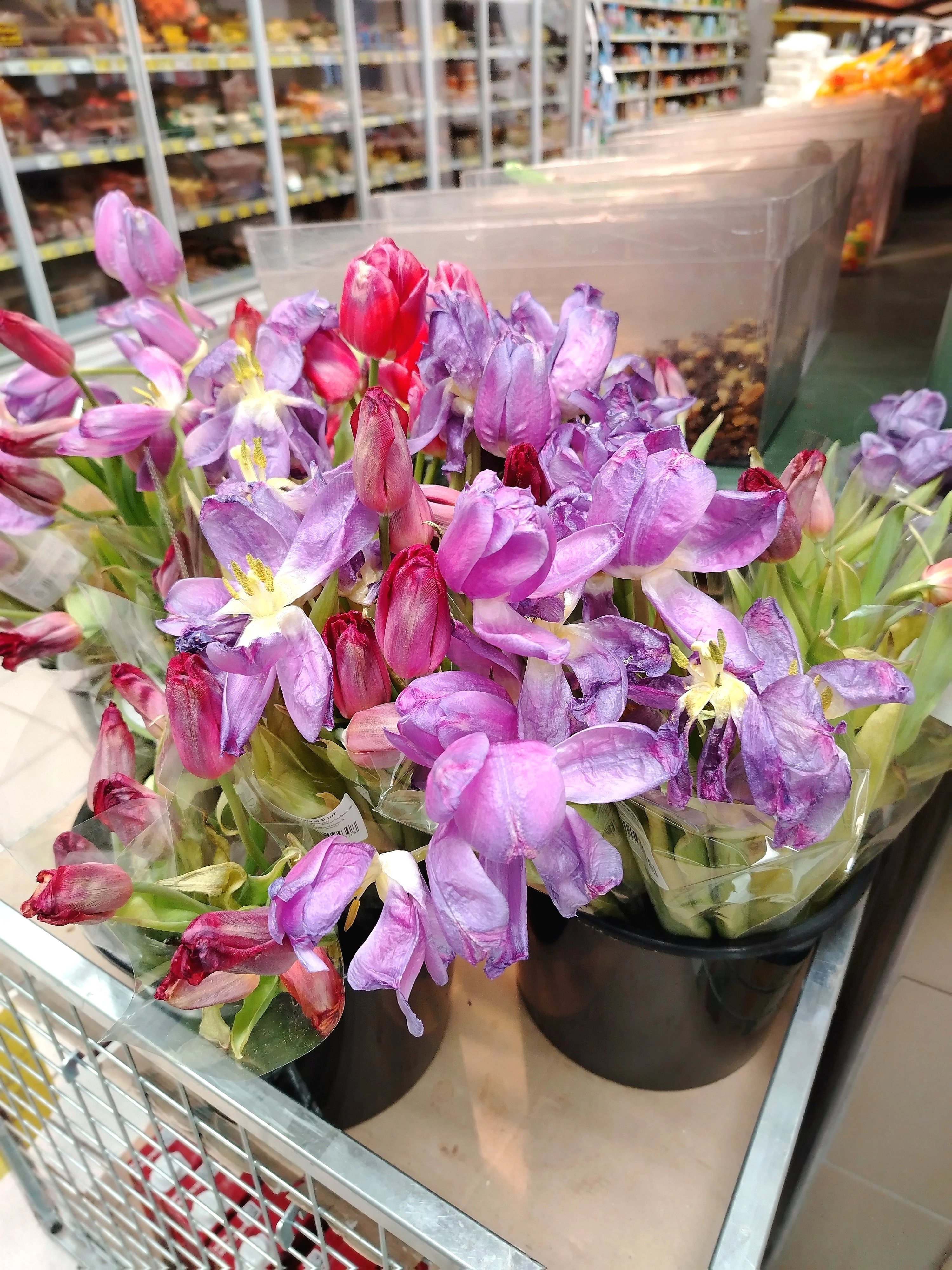 IMG_20250309_114644.webp