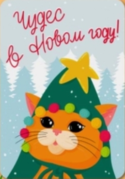 IMG_20251229_162433.webp