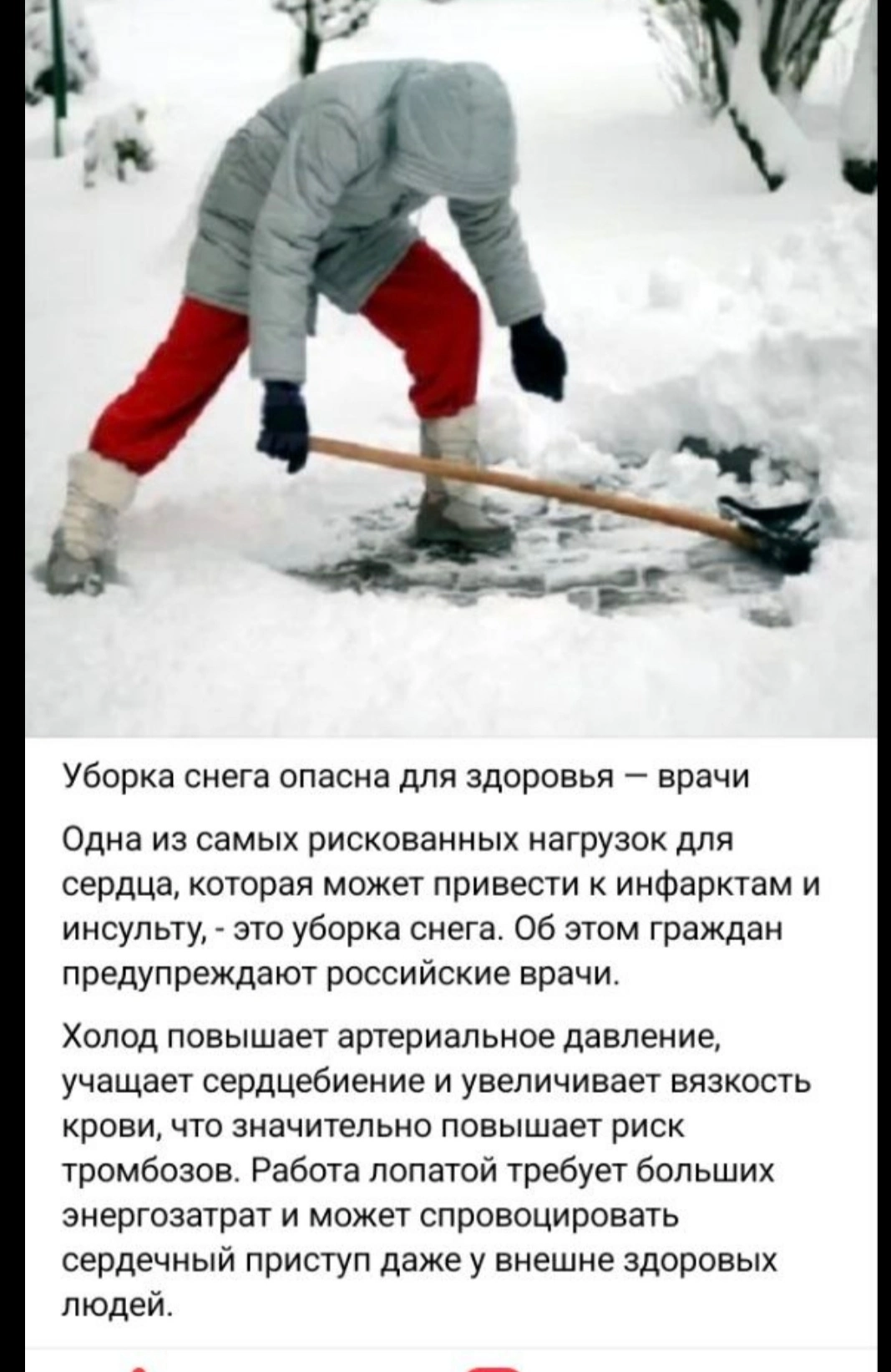 IMG_20260209_094741.webp