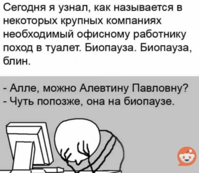 IMG_20260410_145407.webp