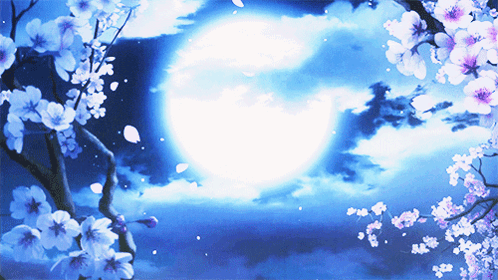 IMG_2166.gif