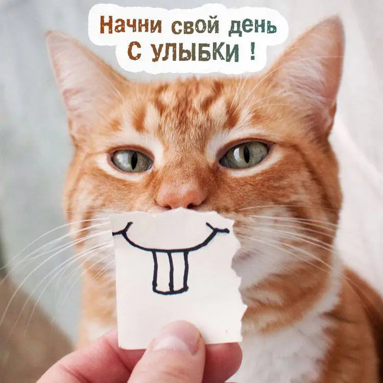 IMG_2614.webp