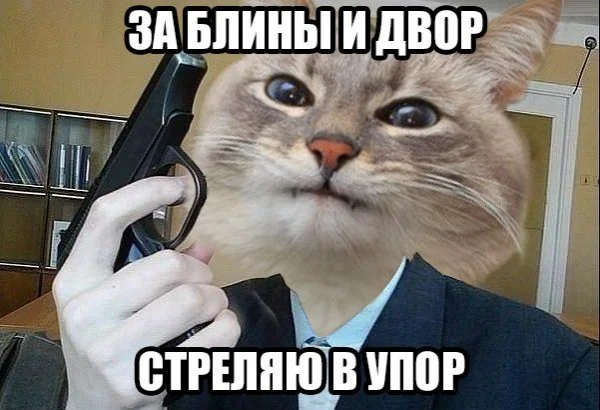 IMG_2621.webp