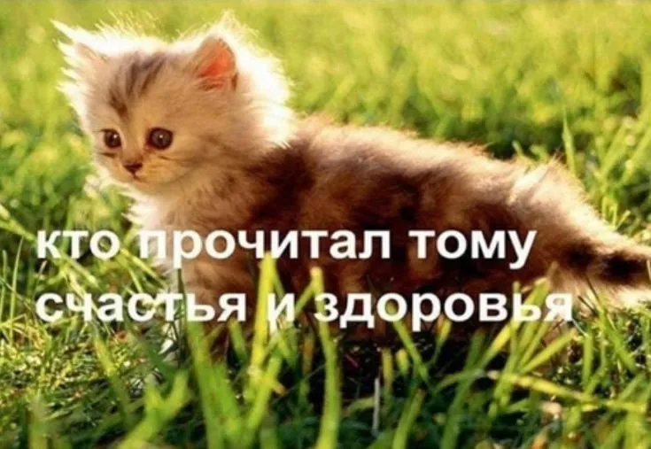 IMG_2770.webp