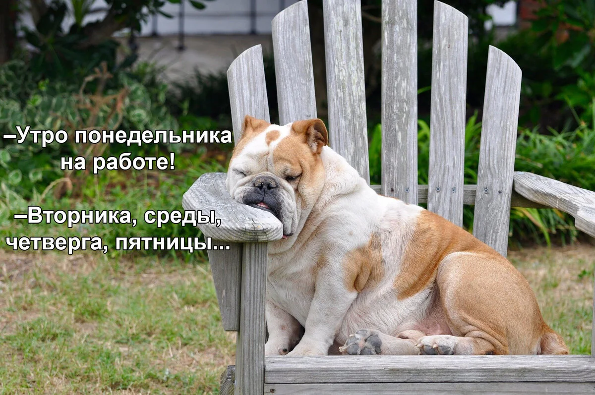 IMG_2833.webp