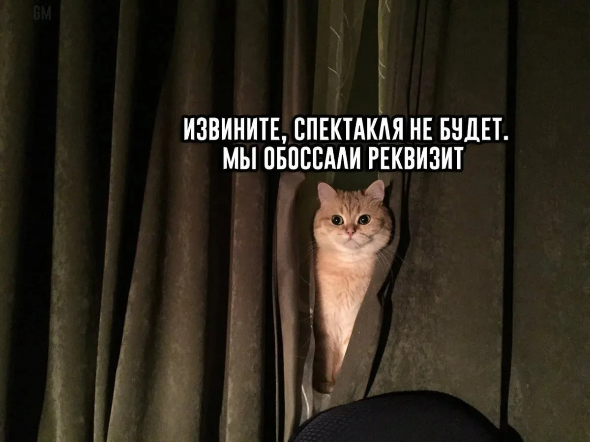 IMG_2903.webp