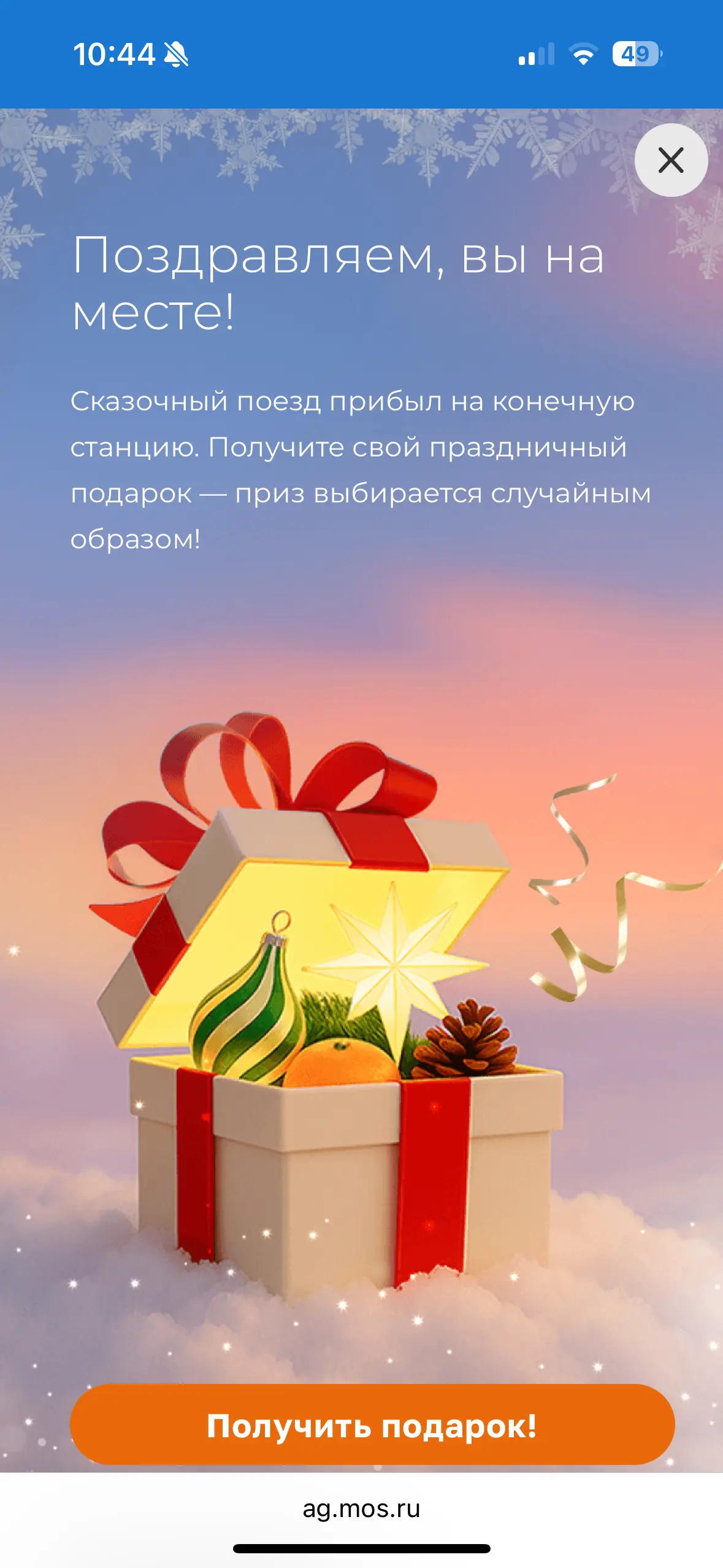 IMG_3355.webp