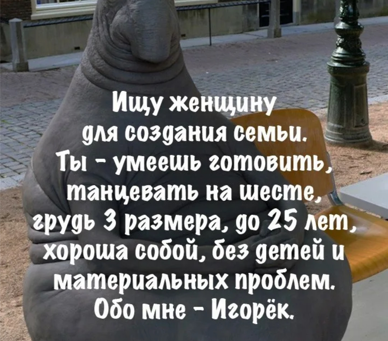 IMG_4167.webp