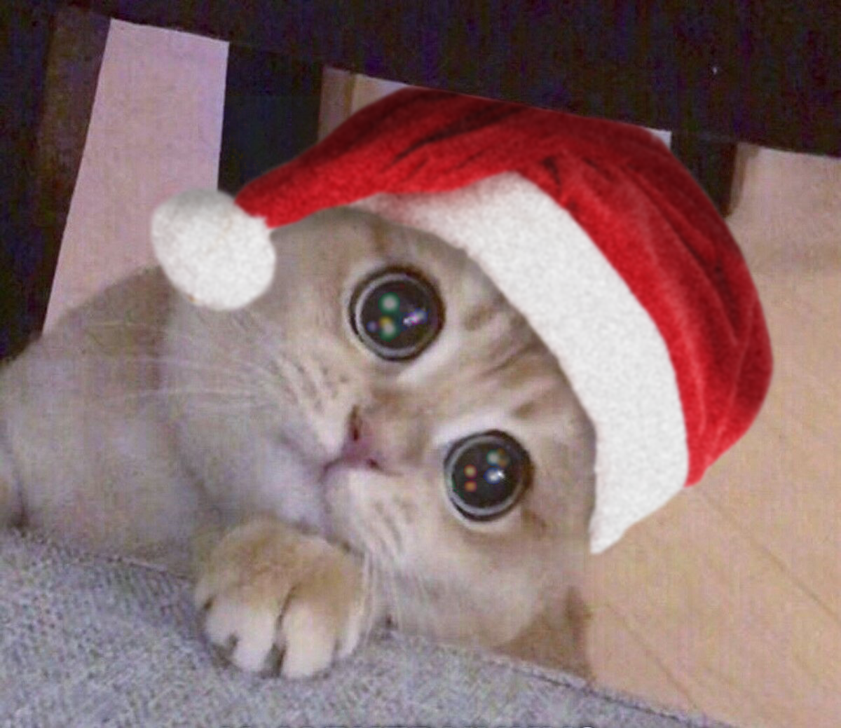IMG_4927.png