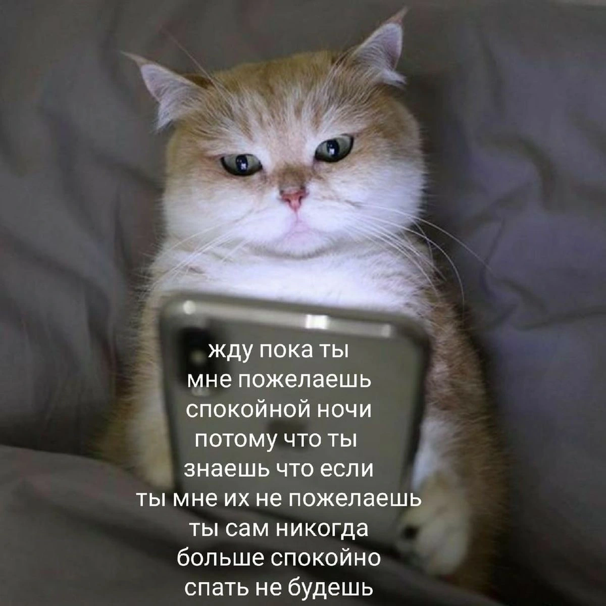 IMG_6874.webp