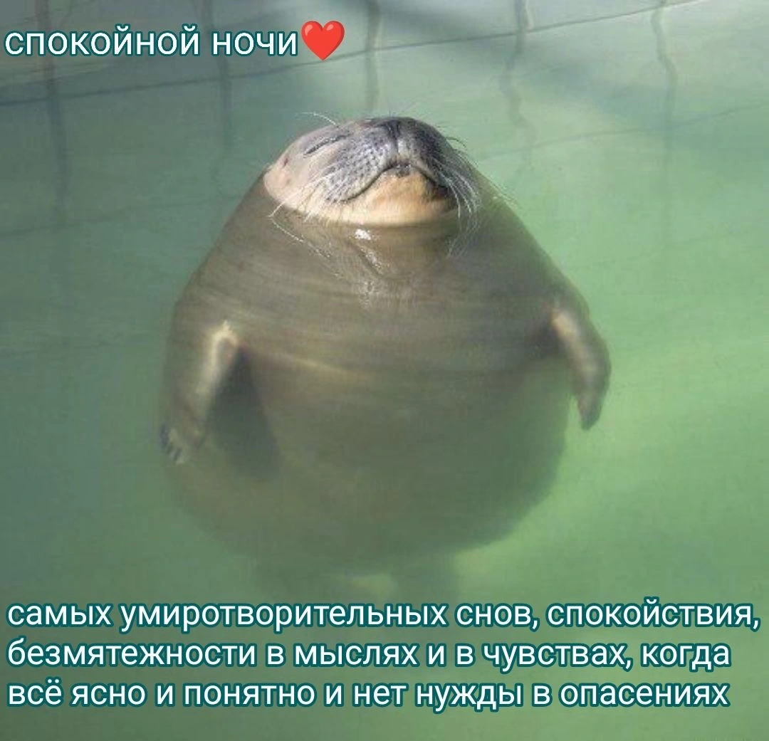 IMG_6923.webp