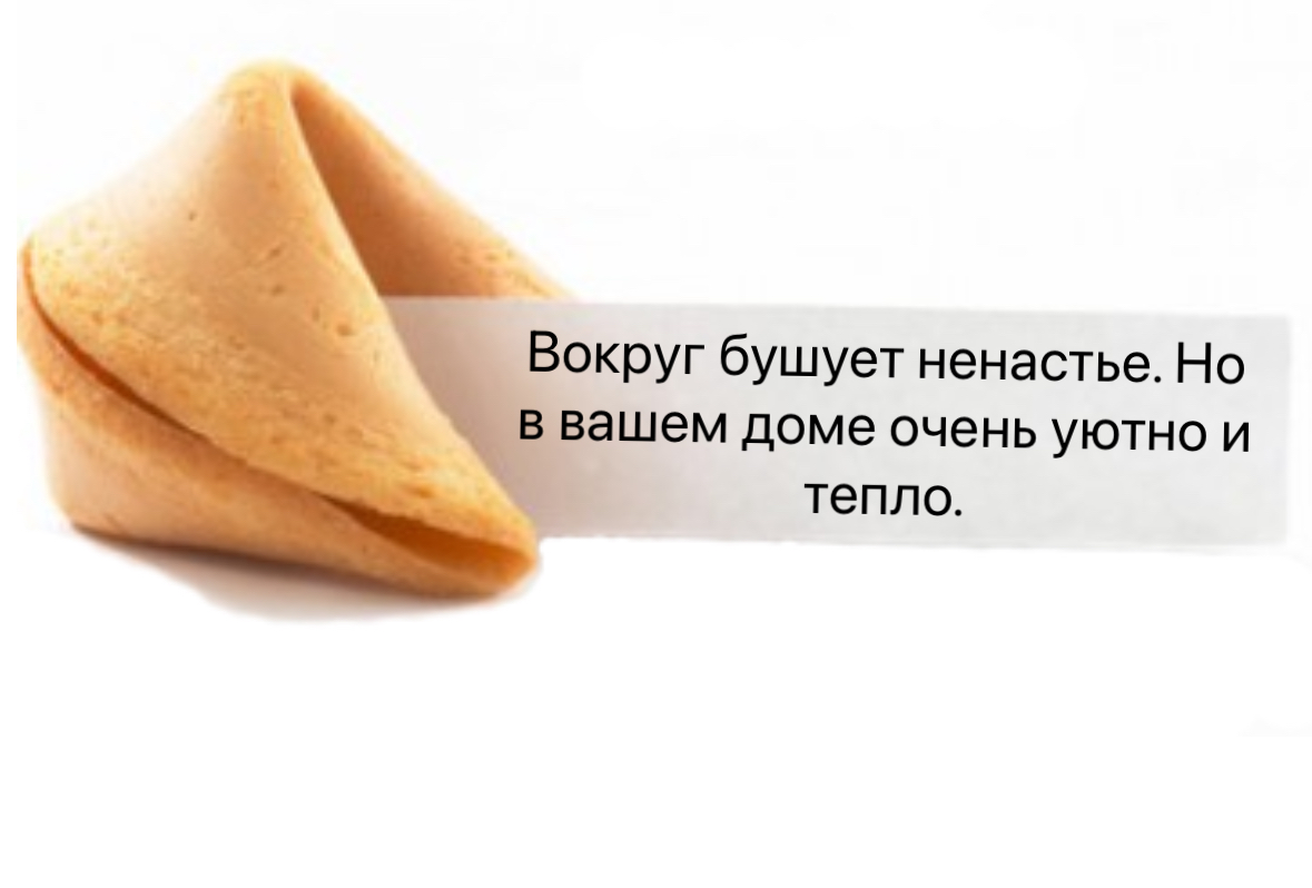 IMG_6928.webp