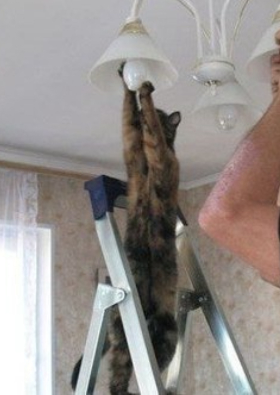IMG_7097.webp