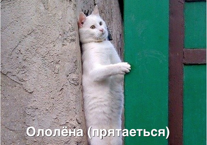 IMG_7117.webp