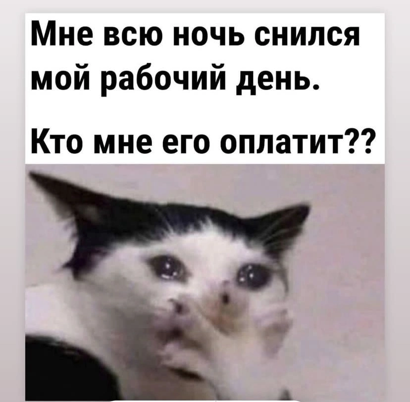 IMG_7396.jpeg