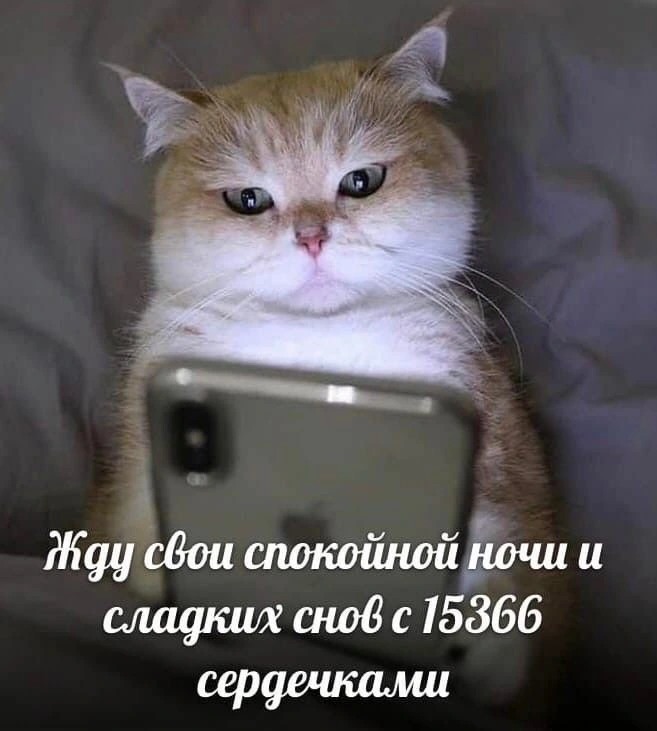 IMG_7678.webp