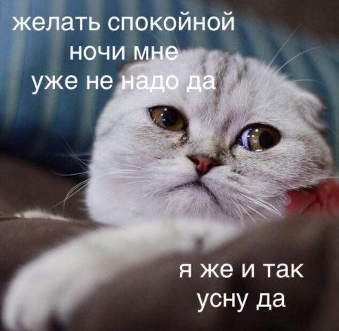 IMG_7679.webp