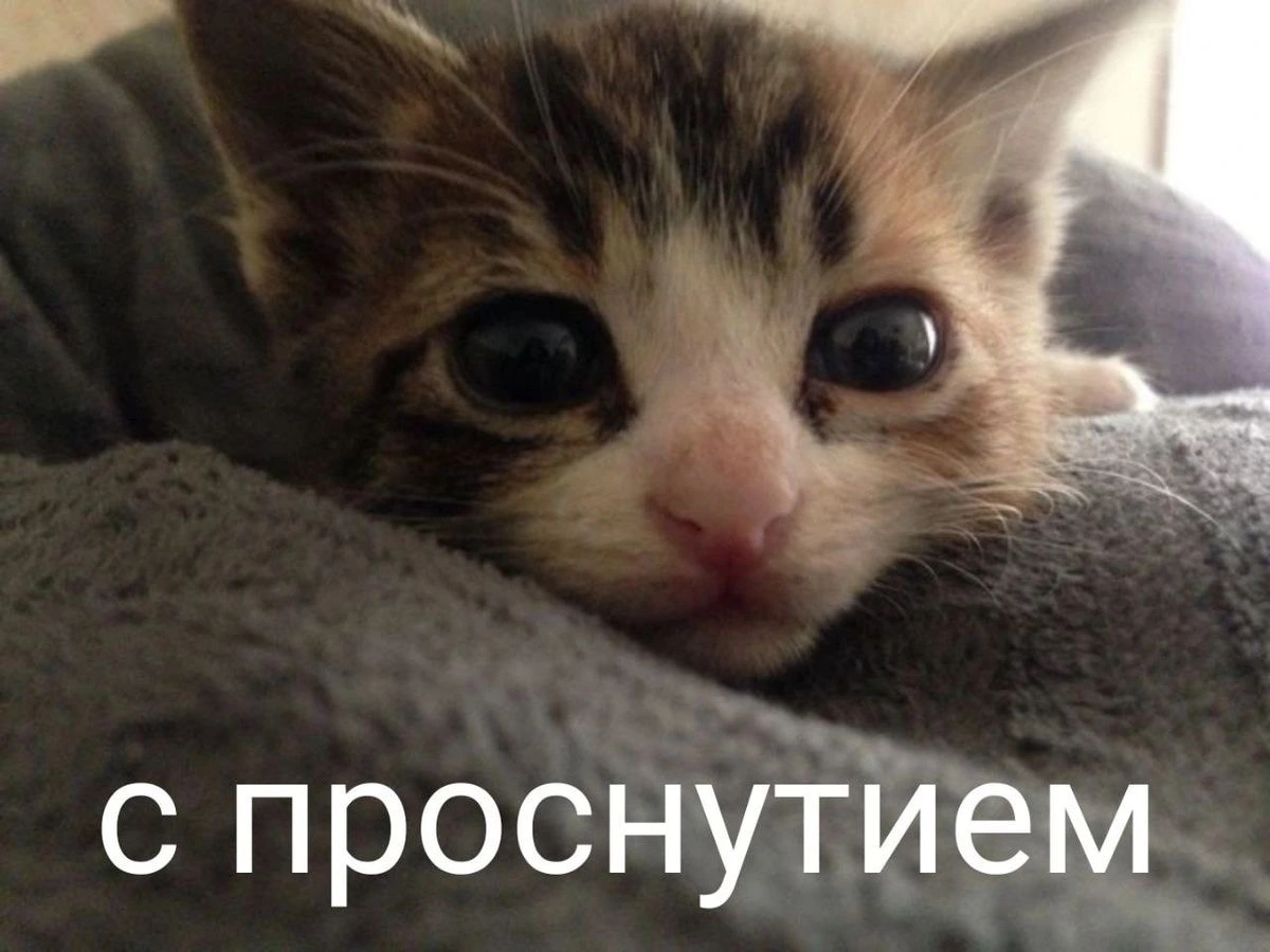 IMG_7691.webp