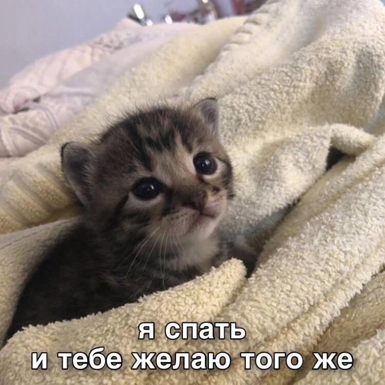 IMG_7696.webp
