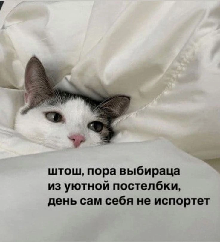 IMG_7702.webp