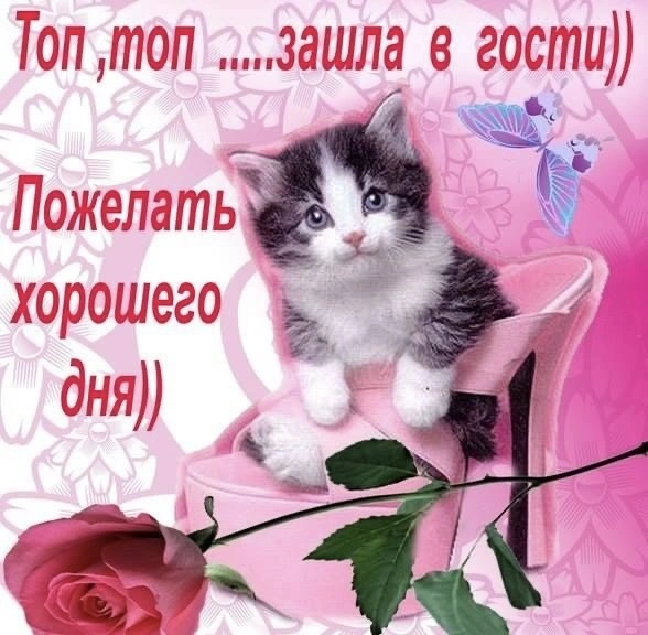 IMG_7721.webp