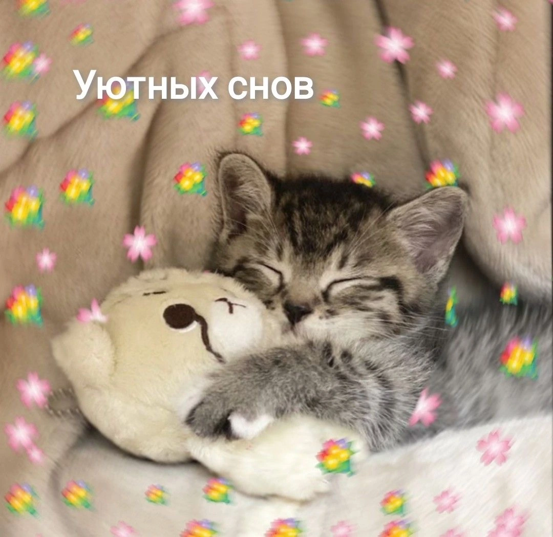 IMG_8038.jpeg