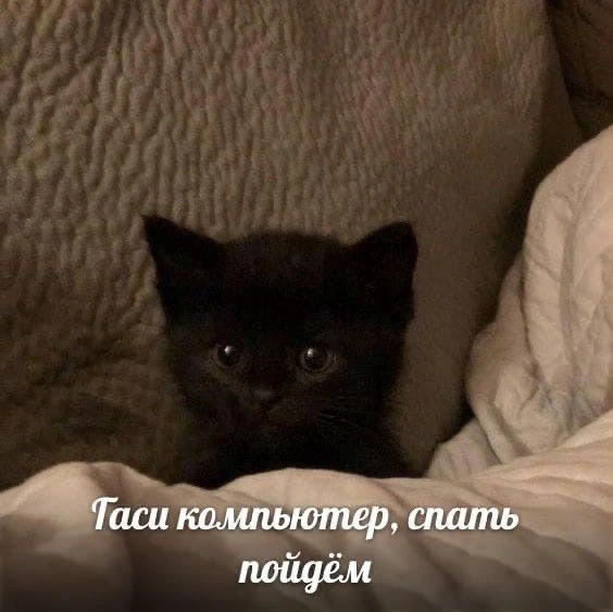 IMG_8050.jpeg