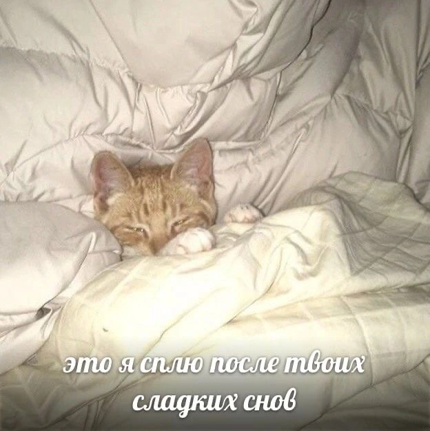 IMG_8063.webp