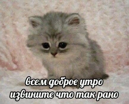 IMG_8067.jpeg