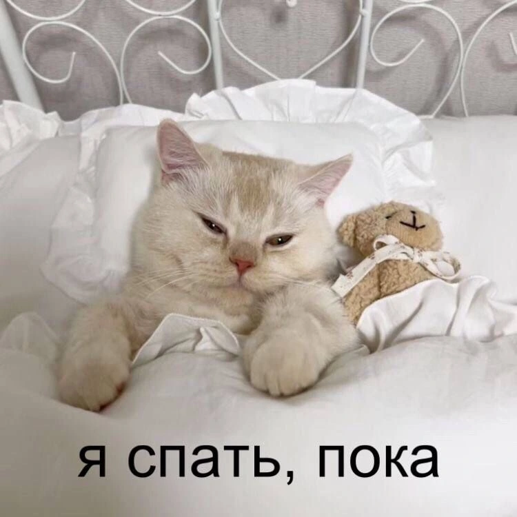IMG_8070.webp