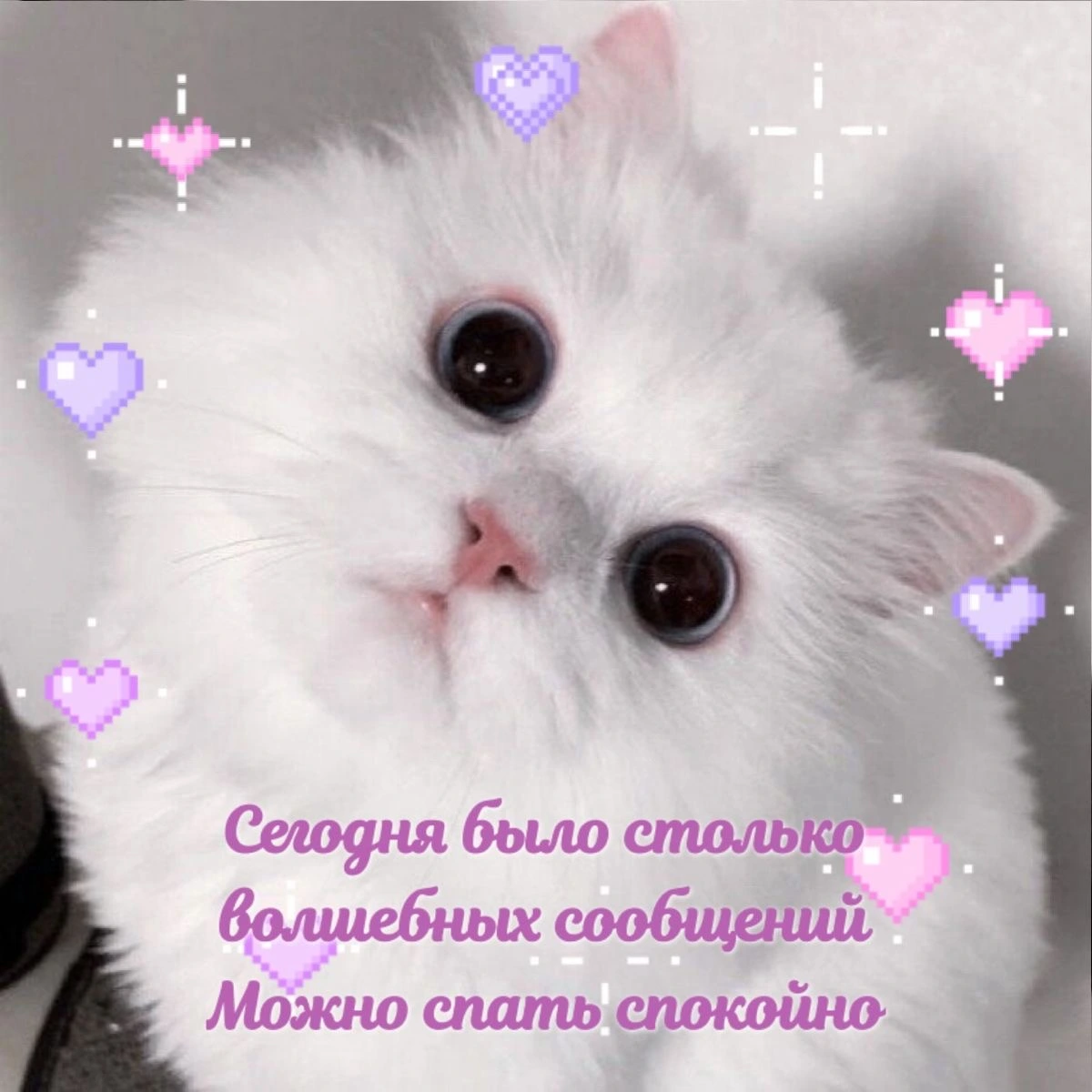 IMG_8098.webp