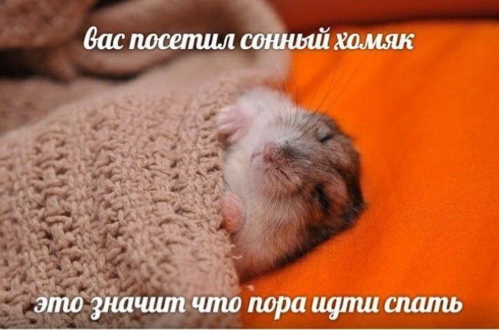 IMG_8382.jpeg