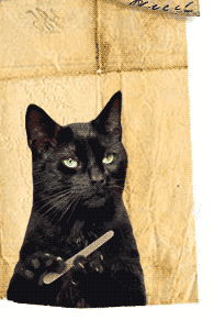 IMG_8503.gif