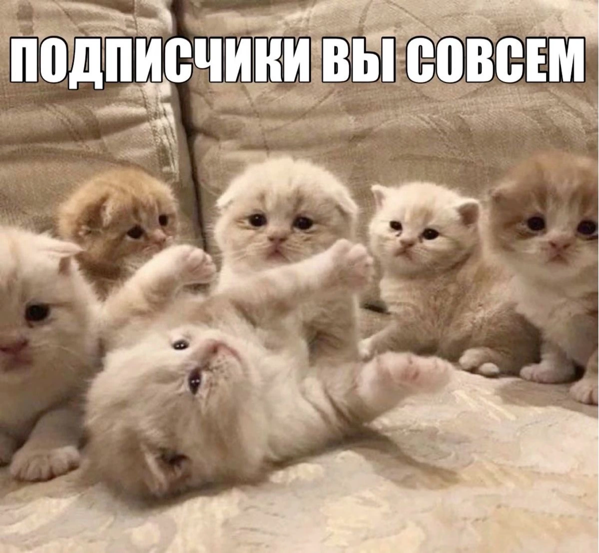 IMG_8633.jpeg