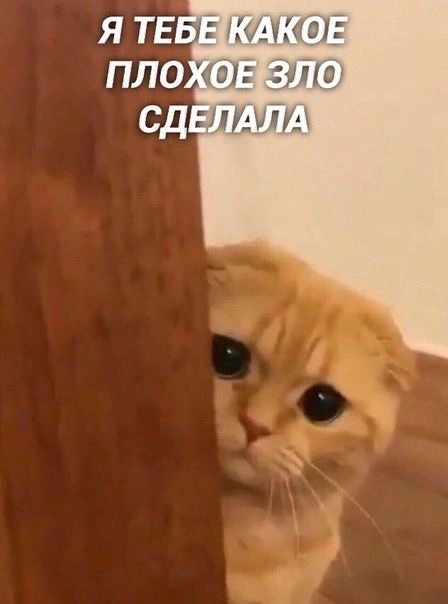 IMG_8651.jpeg