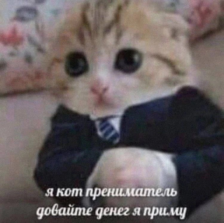 IMG_8665.jpeg