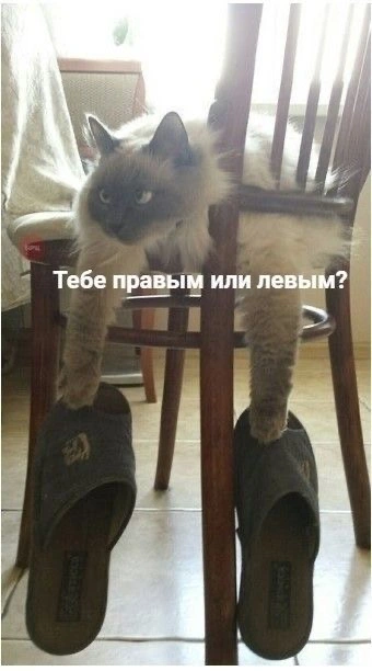 IMG_8751.jpeg