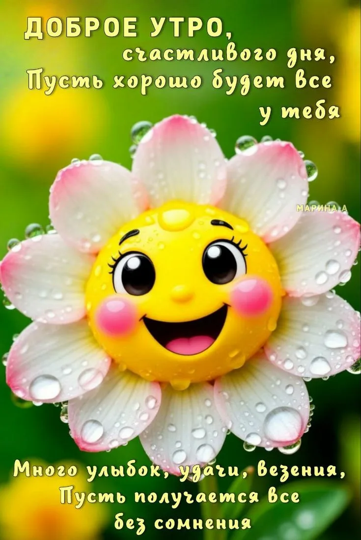 IMG_8800.webp