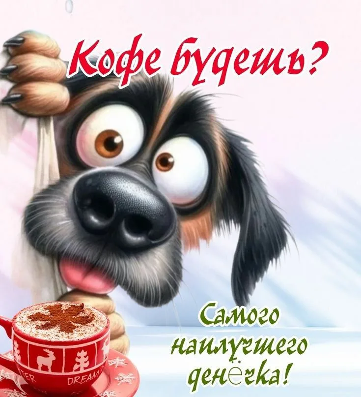 IMG_9485.webp