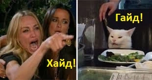 index.webp