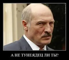 index.webp