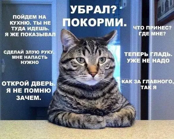 !iolt6gVz5Ok.webp
