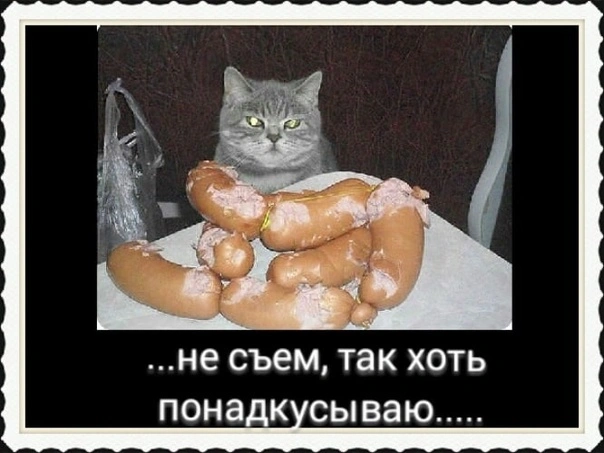IpBK65hKsyY.webp