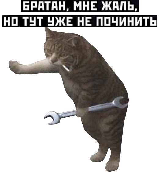 IVylTL9JNuk.webp