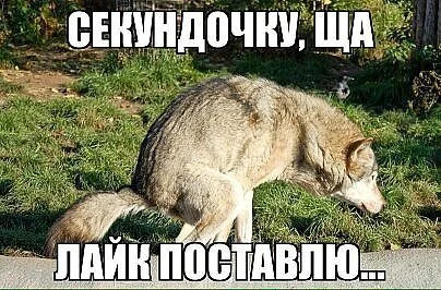 IYNS4lPjGqc.webp