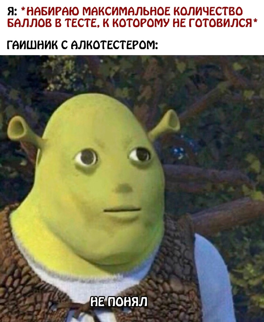 изображение_2022-09-24_234509159.webp